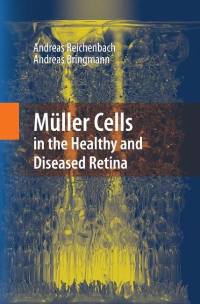 Cover for Andreas Reichenbach · Muller Cells in the Healthy and Diseased Retina (Paperback Book) [2010 edition] (2014)