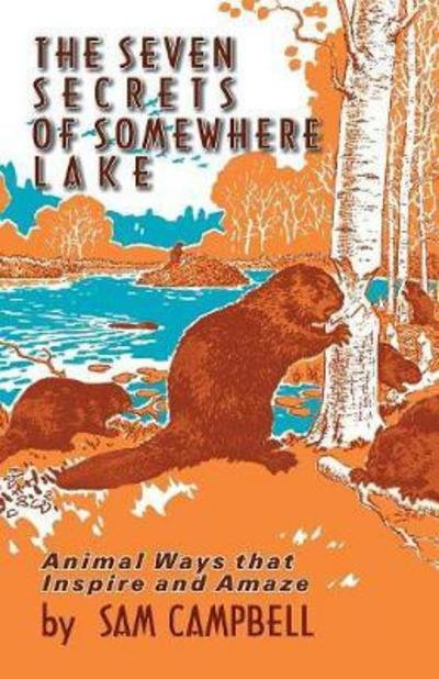 The seven secrets of Somewhere Lake - Sam Campbell - Books - TEACH Services - 9781572582026 - April 10, 2017