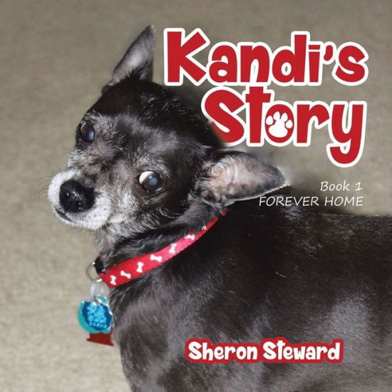 Kandi's Story - Sheron Steward - Books - Matchstick Literary - 9781648586026 - September 24, 2020