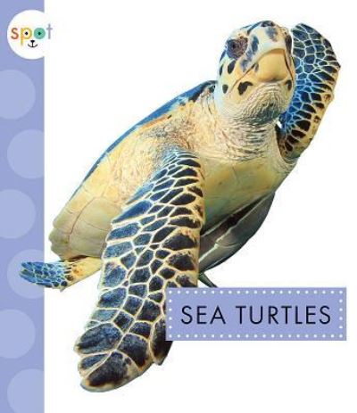 Cover for Mari Schuh · Sea Turtles (Paperback Book) (2018)