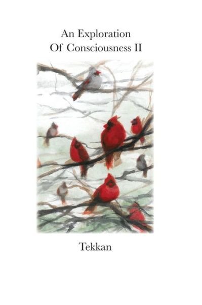 Cover for Tekkan · An Exploration of Consciousness II (Taschenbuch) (2020)