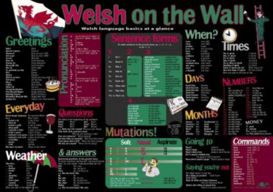 Cover for Y Lolfa · Welsh on the Wall (Poster) [Bilingual edition]