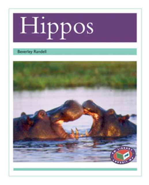 Hippos - Beverley Randell - Books - Cengage Learning New Zealand - 9781869611026 - December 8, 1997