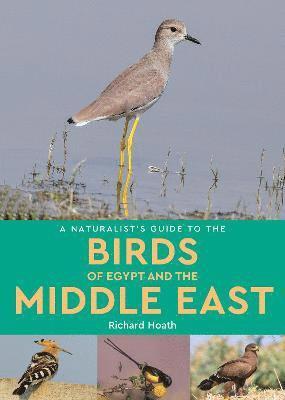 Cover for Richard Hoath · A Naturalist's Guide to the Birds of Egypt and the Middle East - Naturalist's Guide (Paperback Book) (2022)