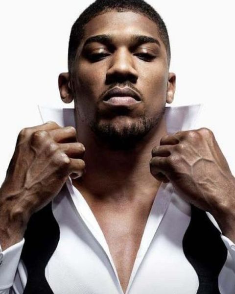 Cover for Darrell Butters · Anthony Joshua Diary (Paperback Book) (2017)