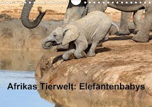 Cover for Voß · Afrikas Tierwelt: Elefantenbabys (W (Bok)