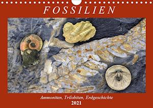 Cover for Frost · Fossilien - Ammoniten, Trilobiten (Book)