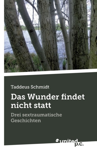 Cover for Taddeus Schmidt · Das Wunder findet nicht statt: Drei sextraumatische Geschichten (Paperback Book) (2020)