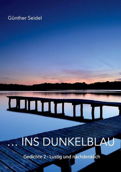 Cover for Seidel · Ins Dunkelblau (Book) (2019)