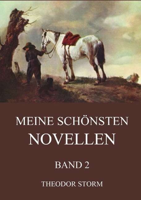 Cover for Storm · Meine schönsten Novellen, Band 2 (Bog)