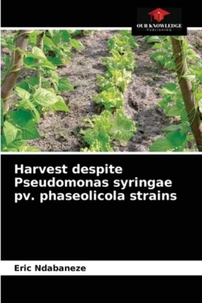 Cover for Eric Ndabaneze · Harvest despite Pseudomonas syringae pv. phaseolicola strains (Paperback Book) (2021)