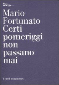 Certi Pomeriggi Non Passano Mai - Mario Fortunato - Böcker -  - 9788874522026 - 