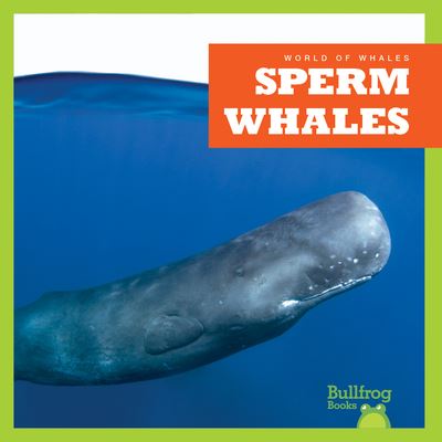 Cover for Chanez · Sperm Whales (Book) (2023)