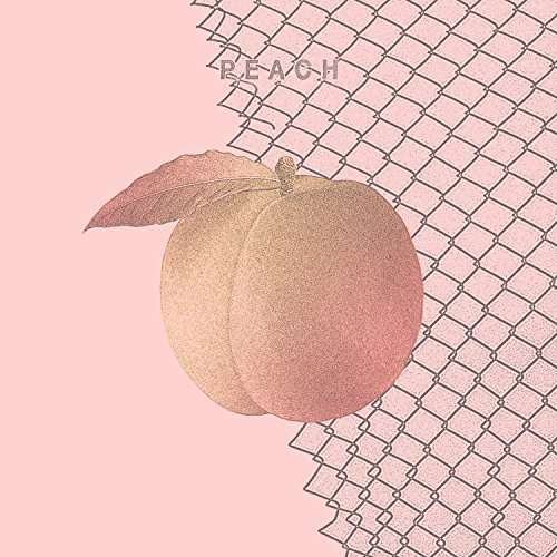 Cover for Culture Abuse · Peach (CD) (2016)