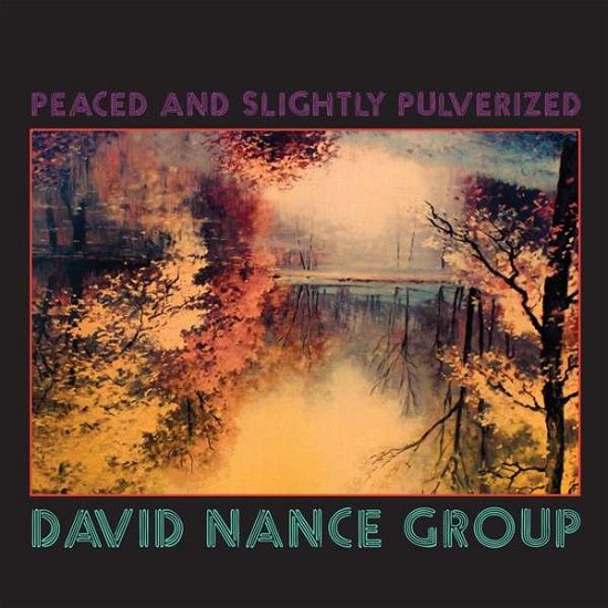 Peaced and Slightly Pulverised - David Nance Group - Musik - TROUBLE IN MIND RECORDS - 0630125983027 - 5. Oktober 2018