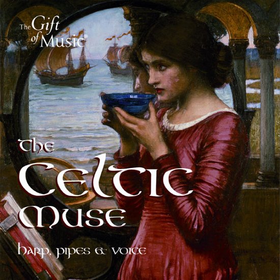 Celtic Muse - Traditional / Hill,s. / Amber Quartet - Musik - GOM - 0658592127027 - 26. März 2013