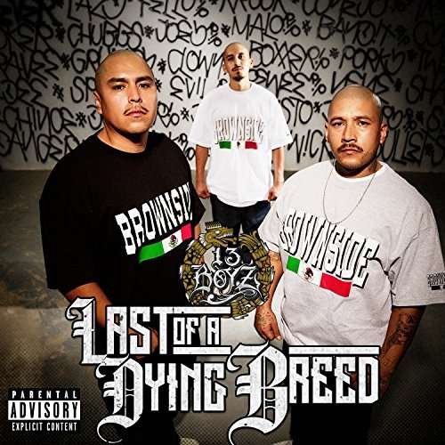 Cover for 13 Boy'z · Last of a Dying Breed (CD) (2017)