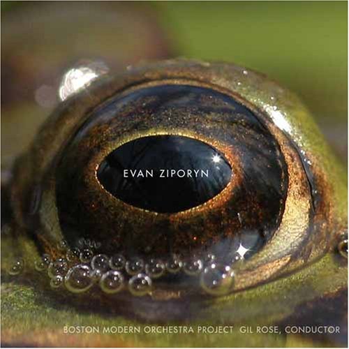 Cover for Boston Modern or Projectrose · Ziporynfrogs Eye (CD) (2011)