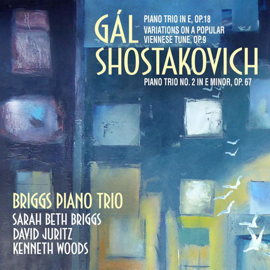 Hans Gal: Piano Trio In E. Op. 18 / Variations On A Popular V - Briggs Piano Trio - Musik - AVIE - 0822252239027 - 17. august 2018