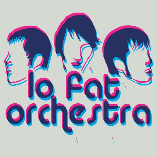 Cover for Lo Fat Orchestra · Questions For Honey (LP) (2009)
