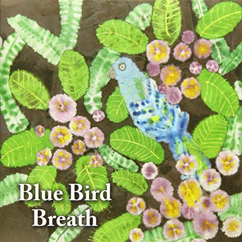 Blue Bird - Breath - Music - DISK UNION CO. - 4580686970027 - August 28, 2019