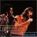 Melting Pot - The Best of Blue - Blue Mink - Musik - BMG Rights Management LLC - 5016073780027 - 3. März 2008