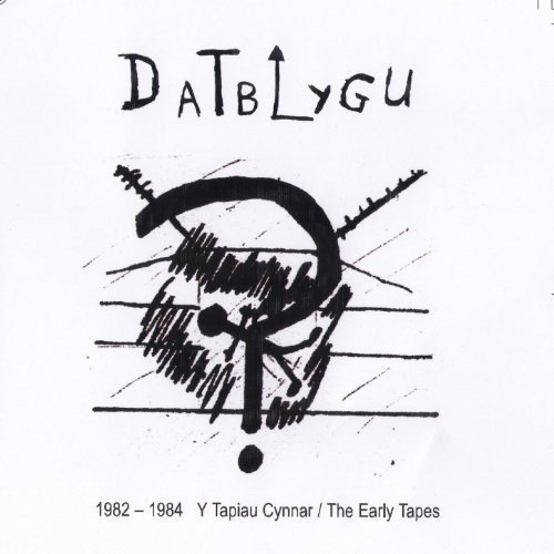 Cover for Datblygu · 1982-1984 The Early Tapes / Y Tapiau Cynnar (CD) (2013)