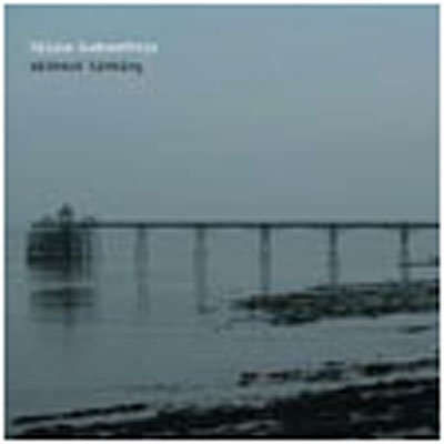 Cover for Hildur Gudnadottir · Without Sinking (CD) (2009)