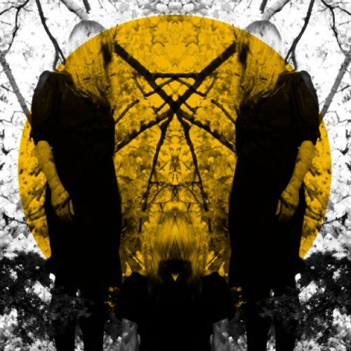 Austra · Feel It Break (CD) (2011)