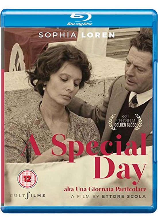 Cover for A Special Day Aka Una Giornata Particolare Bl · A Special Day (aka Una Giornata Particolare) (Blu-ray) (2016)