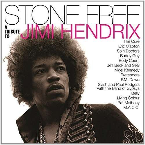 Jimi Hendrix=tribute=-stone Free - LP - Music - MOV - 8718469538027 - February 5, 2015