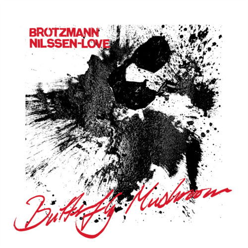 Brotzmann,peter / Nilssen-love,paal · Butterfly Mushroom (CD) (2024)