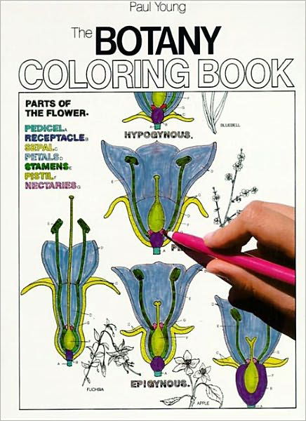 Botany Coloring Book - Coloring Concepts - Paul Young - Books - HarperCollins Publishers Inc - 9780064603027 - August 12, 1999