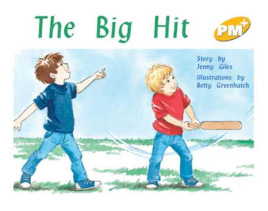 The Big Hit - Jenny Giles - Książki - Cengage Learning Australia - 9780170096027 - 8 września 1999