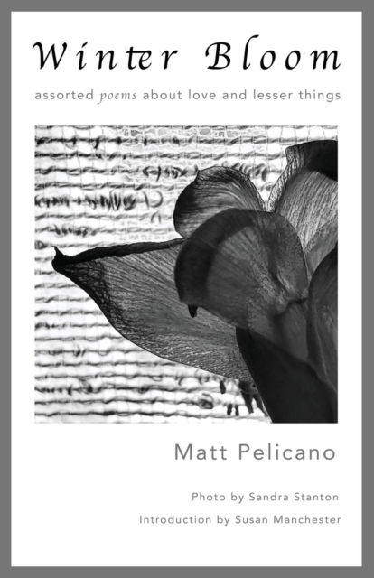 Cover for Matt Pelicano · Winter Bloom (Taschenbuch) (2022)