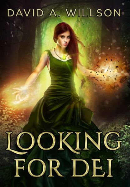 Cover for David A Willson · Looking for Dei The Godseeker Duet - Book One (Hardcover Book) (2018)