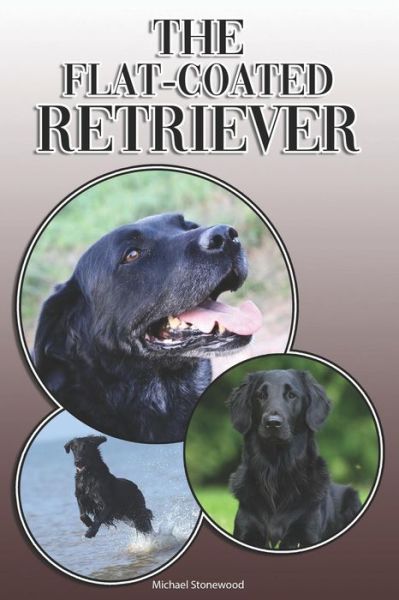 The Flat-Coated Retriever - Michael Stonewood - Books - INDEPENDENTLY PUBLISHED - 9781092377027 - April 1, 2019