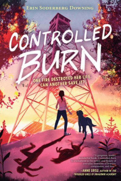 Cover for Erin Downing · Controlled Burn (Hardcover Book) (2022)