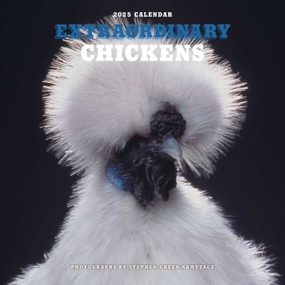 Stephen Green-Armytage · Extraordinary Chickens 2025 Wall Calendar (Kalender) (2024)