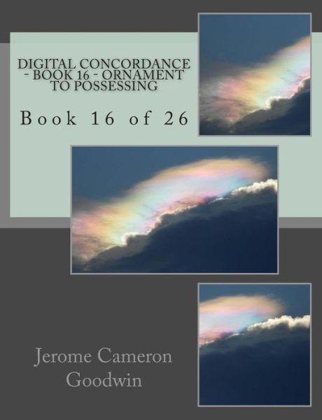 Cover for Mr Jerome Cameron Goodwin · Digital Concordance - Book 16 - Ornament to Possessing: Book 16 of 26 (Pocketbok) (2005)