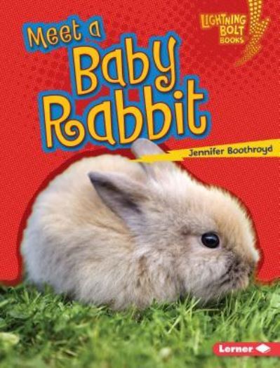 Cover for Jennifer Boothroyd · Meet a baby rabbit (Book) (2016)