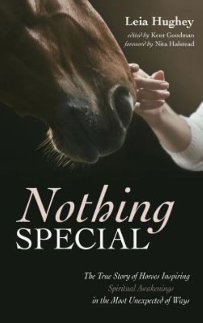 Cover for Leia Hughey · Nothing Special (Hardcover Book) (2019)