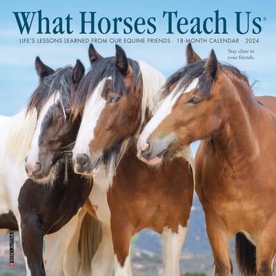 Cover for Willow Creek Press · What Horses Teach Us 2024 7 X 7 Mini Wall Calendar (Calendar) (2023)