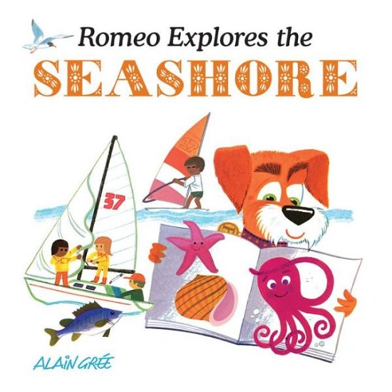 Cover for Alain Gree · Romeo Explores the Seashore (Board book) (2018)