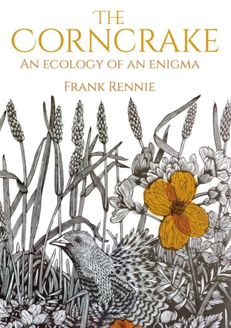 Cover for Frank Rennie · The Corncrake: An Ecology of an Enigma (Paperback Book) (2022)