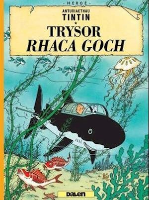 Cyfres Anturiaethau Tintin: Trysor Rhaca Goch - Herge - Books - Dalen (Llyfrau) Cyf - 9781913573027 - November 3, 2020