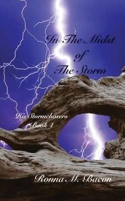 Cover for Ronna M Bacon · In The Midst of The Storm (Paperback Book) (2019)