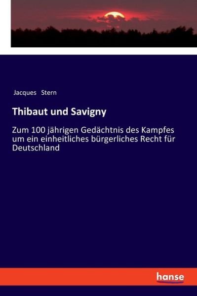 Cover for Stern · Thibaut und Savigny (Bog) (2019)