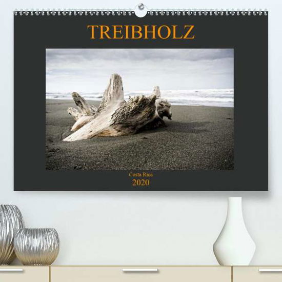 Cover for Staack · Treibholz Costa Rica (Premium-Ka (Book)