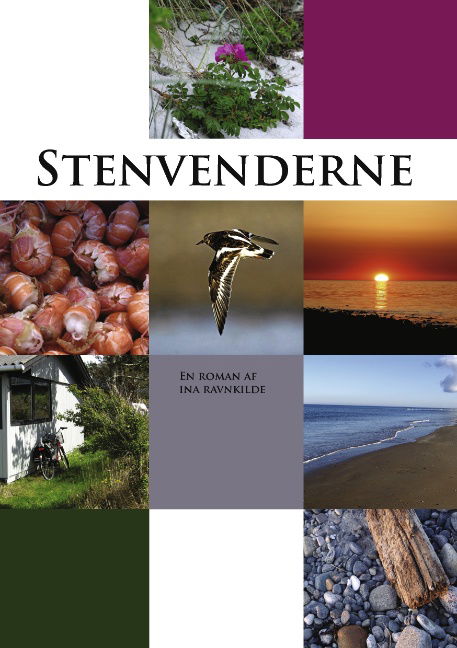 Cover for Ina Ravnkilde · Stenvenderne (Paperback Book) [1st edition] [Paperback] (2011)